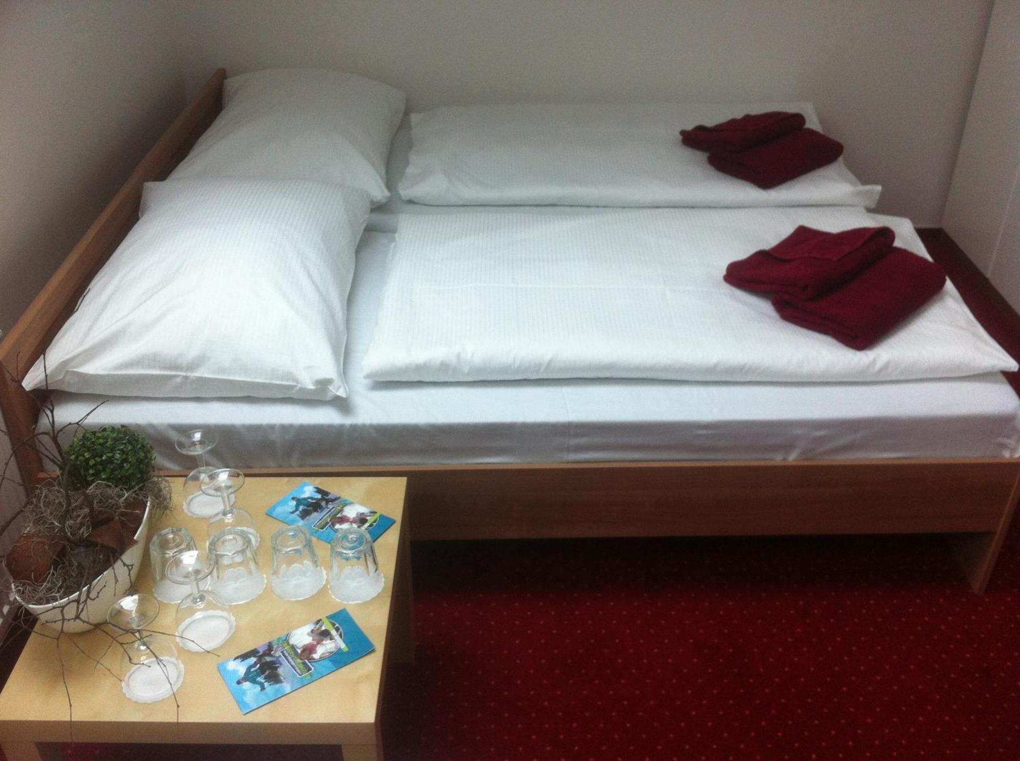 Hotel Krusnohorsky Dvur Cinovec Ngoại thất bức ảnh