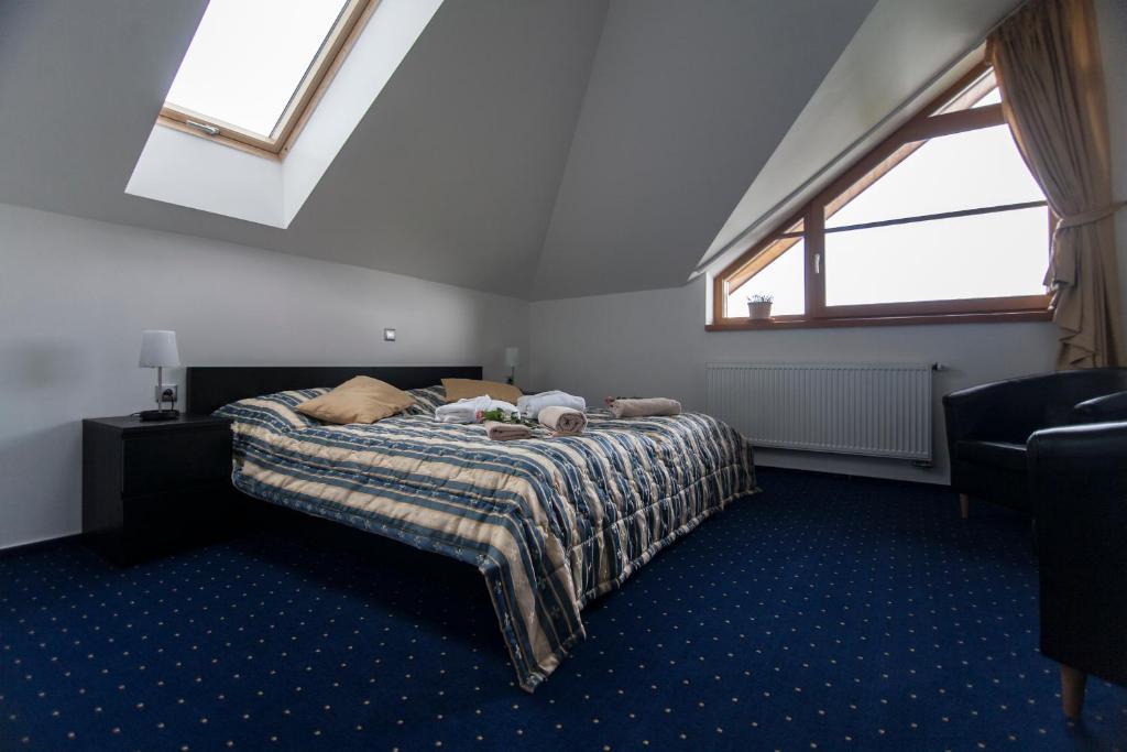 Hotel Krusnohorsky Dvur Cinovec Phòng bức ảnh