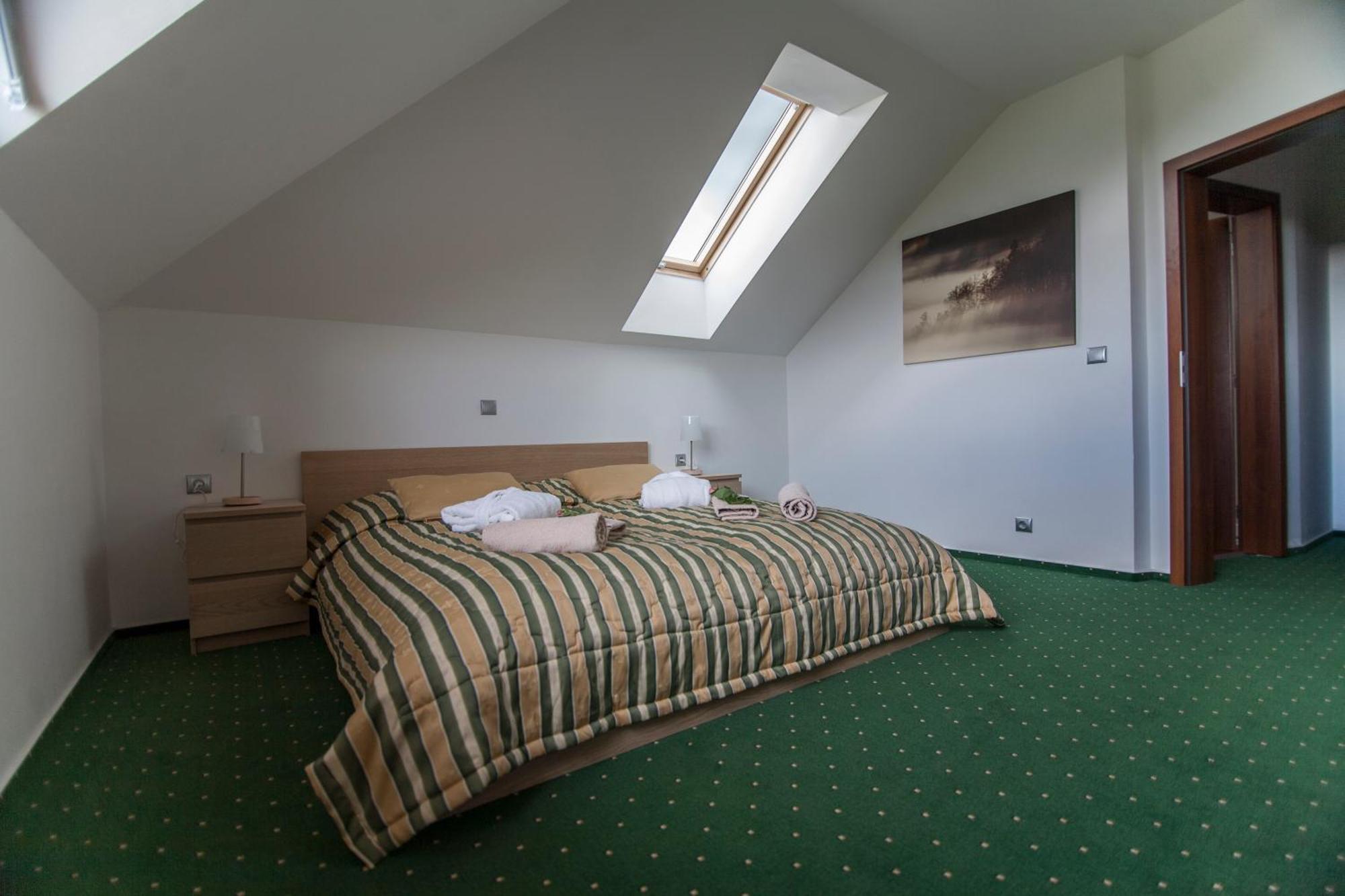 Hotel Krusnohorsky Dvur Cinovec Ngoại thất bức ảnh