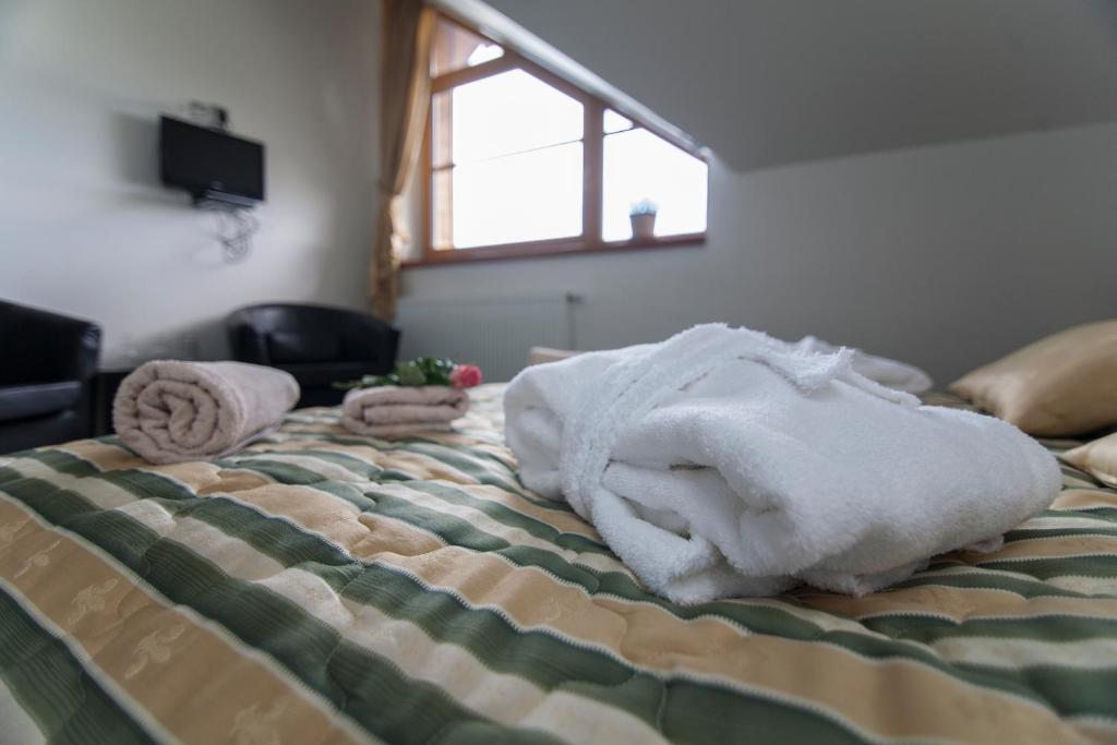 Hotel Krusnohorsky Dvur Cinovec Phòng bức ảnh